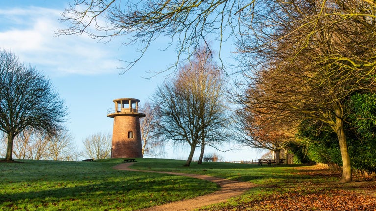 Image shows a path next to trees leading up to the water tower at Staunton Harold.